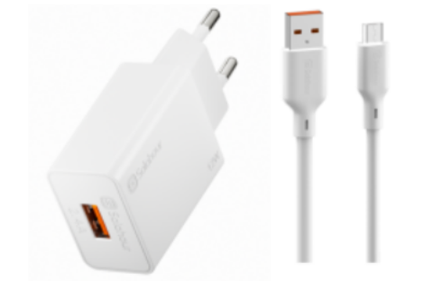 12W Fast Charger Kit With 1m USB Micro-B Cable EU Plug
